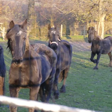 Meschermolen, Overnachten In De Schuur 3*