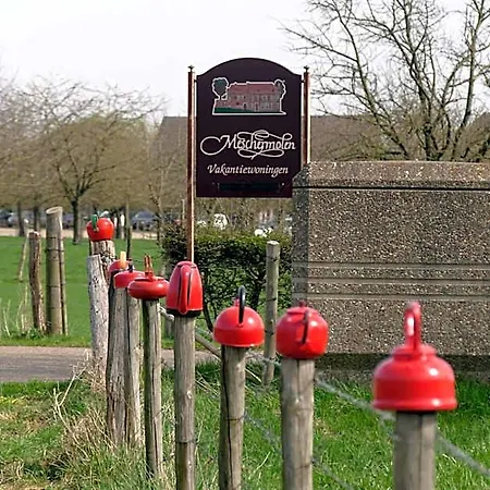 Meschermolen, Overnachten In De Schuur Bed & Breakfast