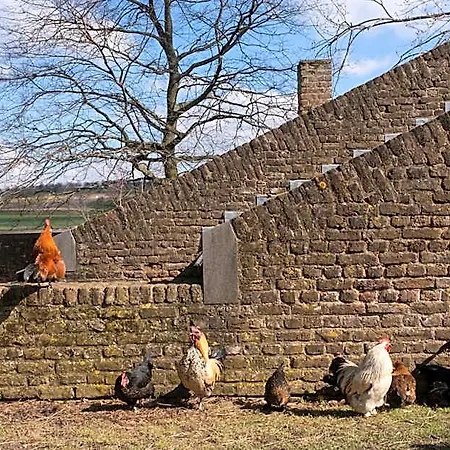 Meschermolen, Overnachten In De Schuur Bed & Breakfast Eijsden