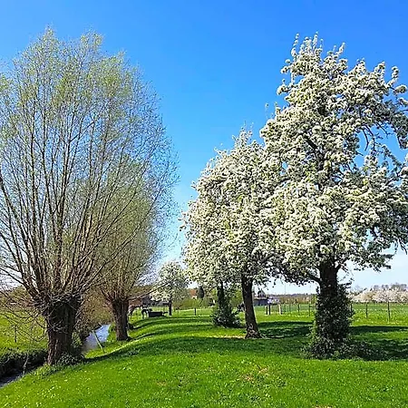 Meschermolen, Overnachten In De Schuur Bed & Breakfast 3*