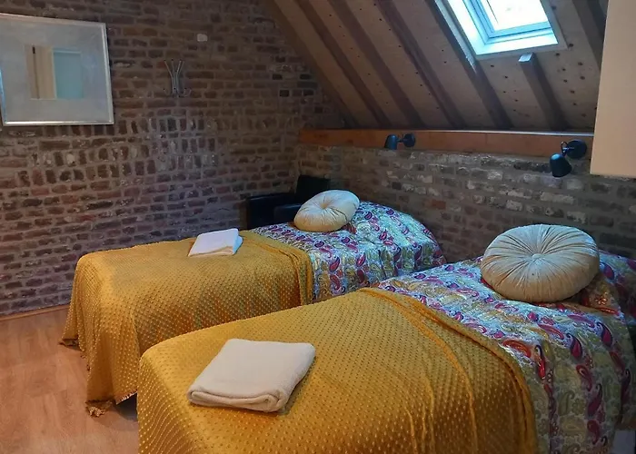 住宿加早餐酒店 Meschermolen, Overnachten In De Schuur