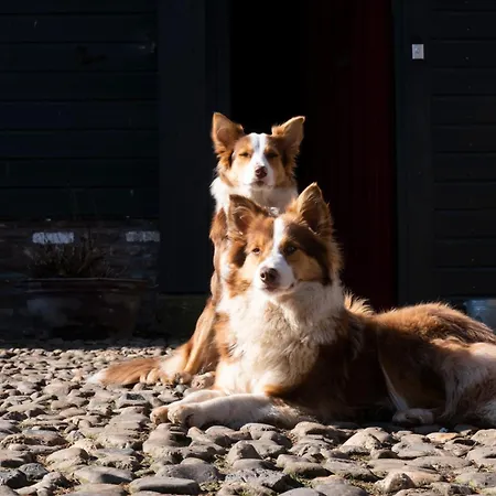 Oda ve Kahvaltı Meschermolen, Overnachten In De Schuur 3*