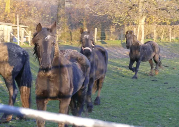 Meschermolen, Overnachten In De Schuur 3*